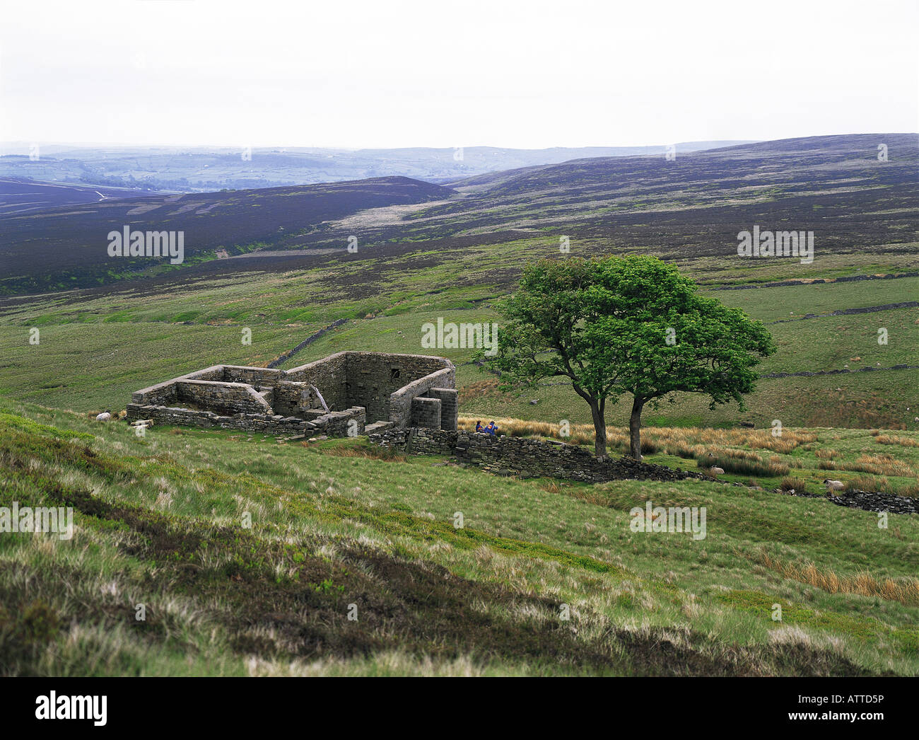 Impostazione per Charlotte Bronte romanzo Wuthering Heights, Yorkshire Dales, Inghilterra Foto Stock