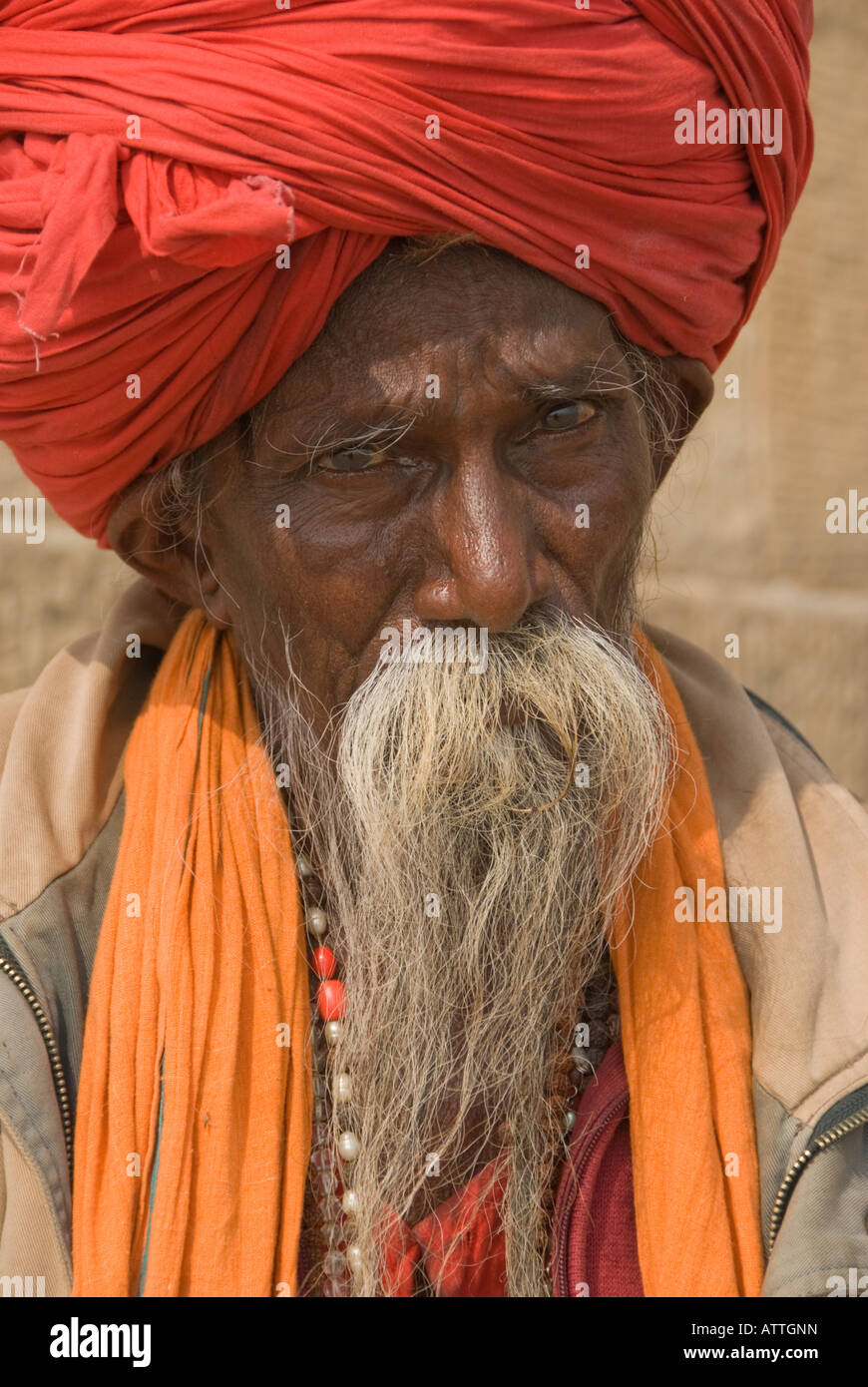 In prossimità di un sadhu indiano con turbante e fluente i baffi e barba. Foto Stock