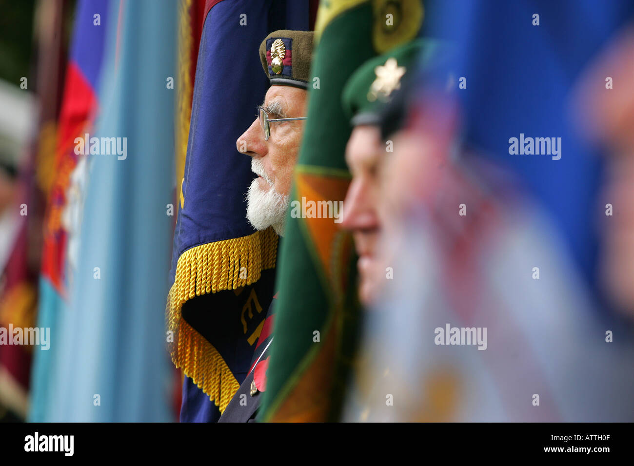 Veterani di Guerra su parade presso un armistizio giorno di servizio a Exeter, Devon Regno Unito Foto Stock