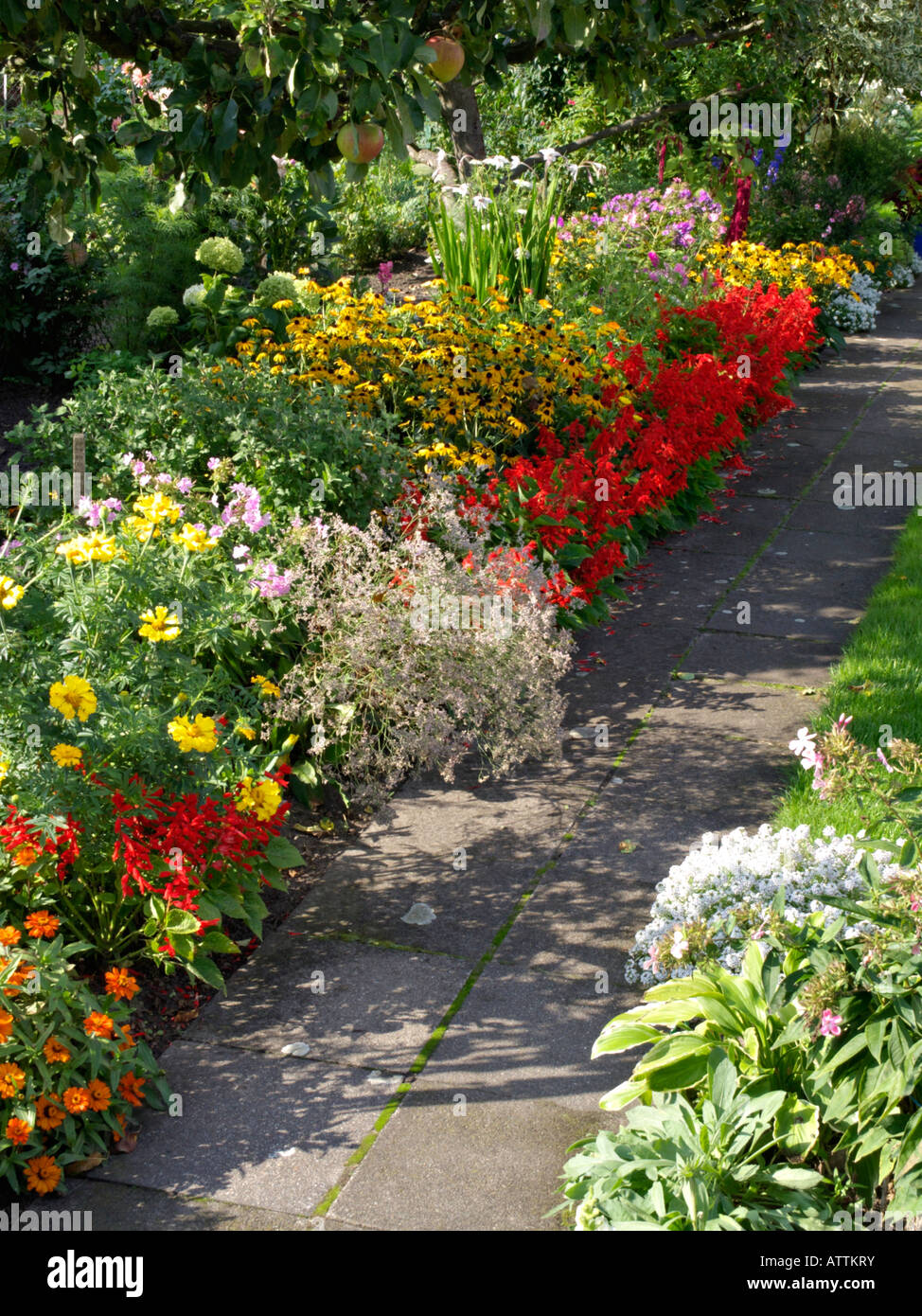 Fiori a cono (rudbeckia), saggi (salvia) e zinnias (zinnia) Foto Stock