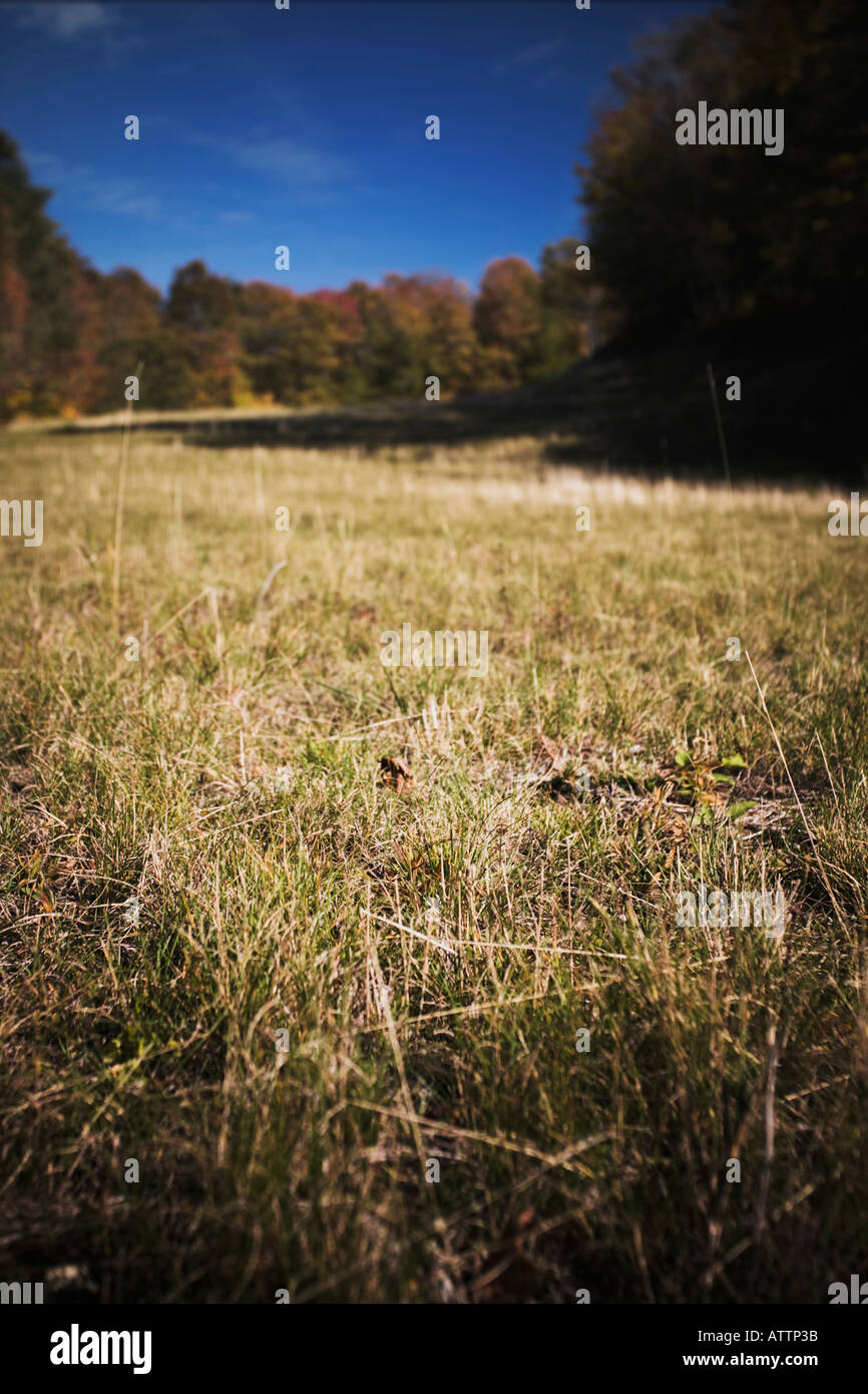 Autunno piste da sci Foto Stock