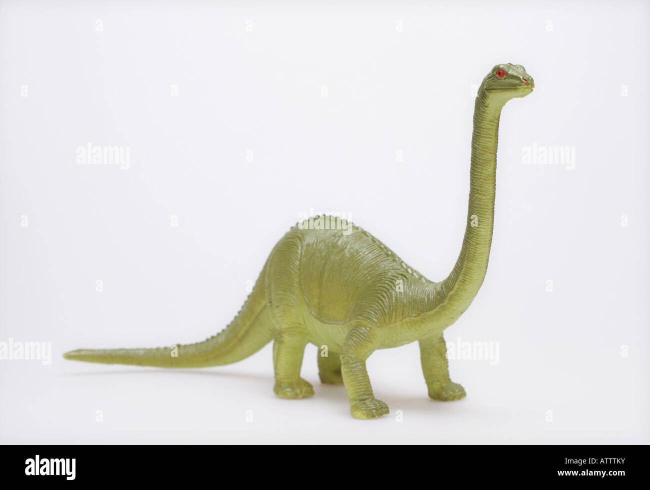 Modello in plastica di un dinosauro Apatosaurus Foto Stock