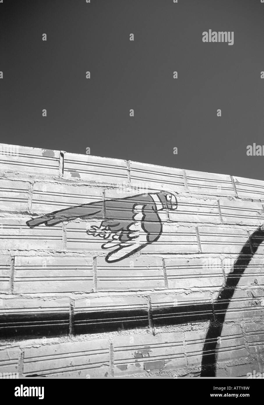 LIBERO COME UN UCCELLO Foto Stock