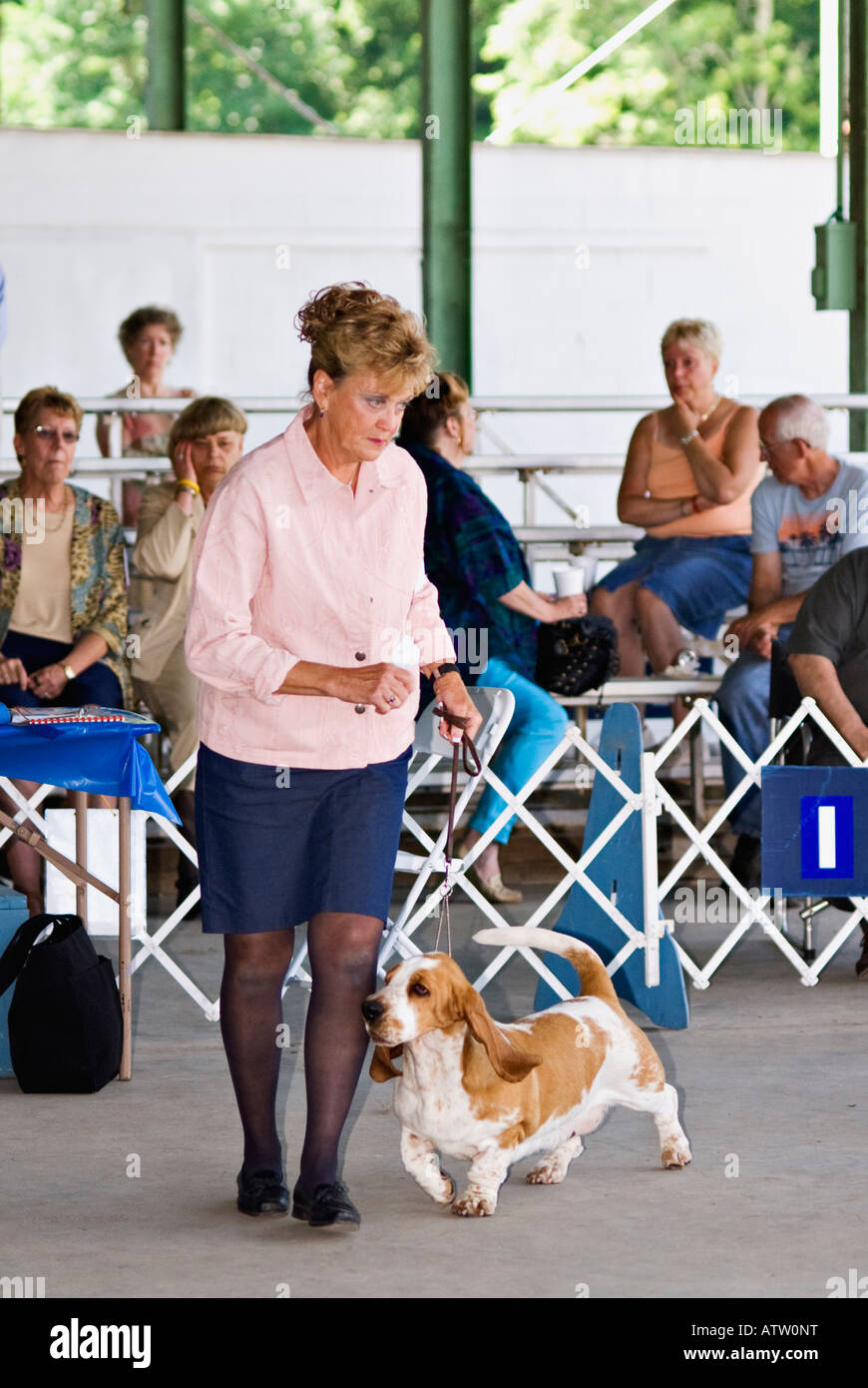 Basset Hound essendo Gaited in mostra Ring a conformazione Dog Show Corydon Indiana Foto Stock
