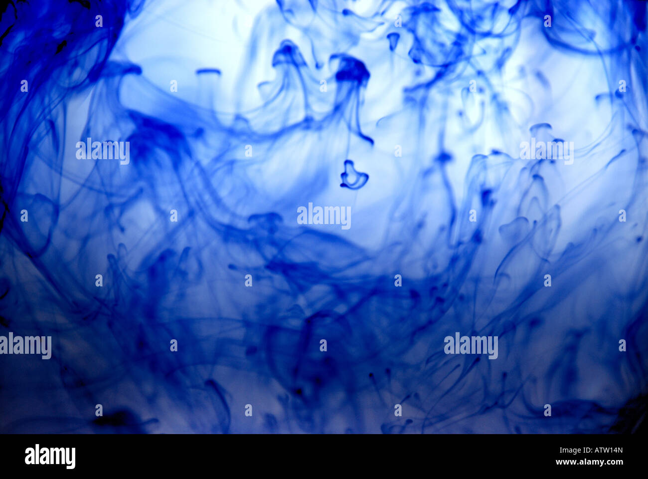 Inchiostro blu riccioli volute caos abstract incenso onde colorate colore haze correnti di aria sfondi indigo turbolenza della corrente di vento Foto Stock