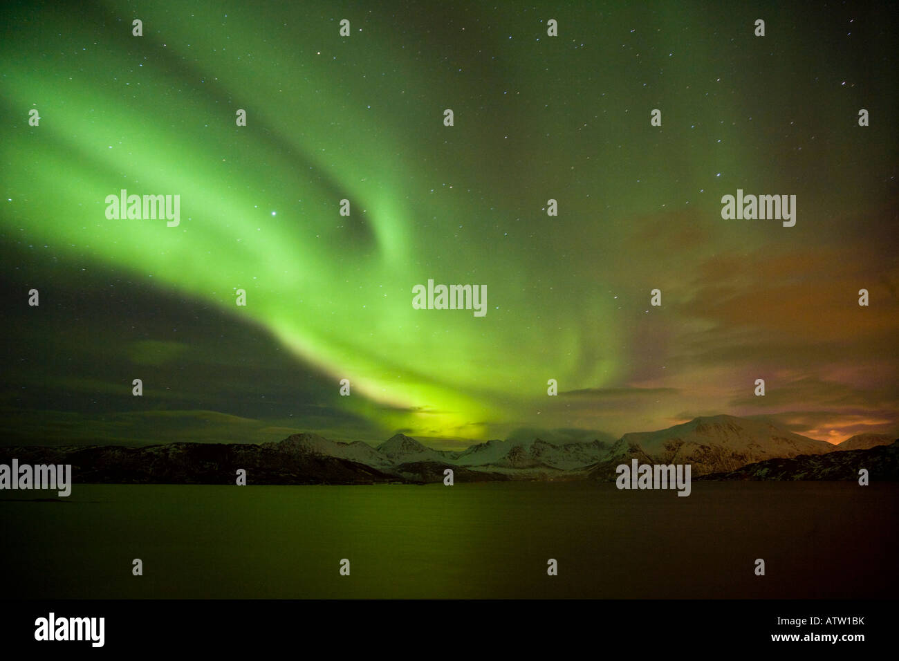 Spettacolare Aurora Boreale (Northern Lights) oltre Sommarøy, Norvegia Foto Stock