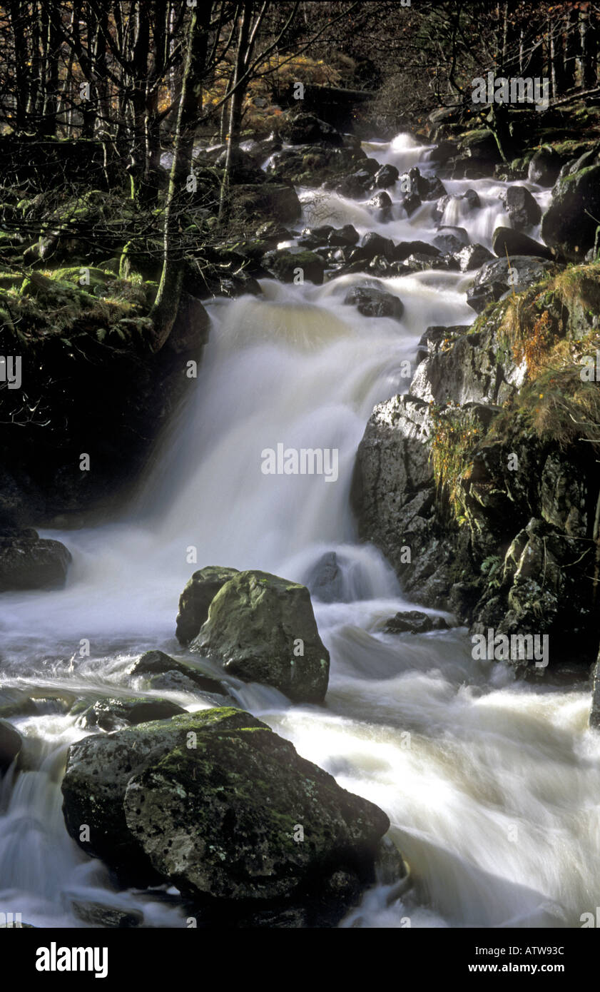 Launchy Gill Thirlmere- Lake District Cumbria U K Foto Stock