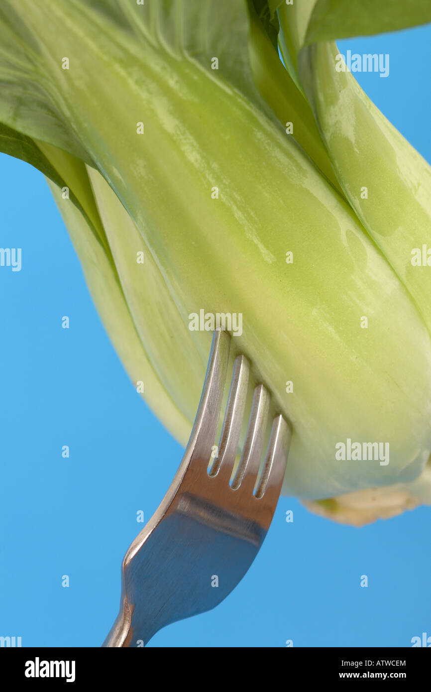 Pak Choi fresche biologiche vegetali verdi mangiare sano su una forcella Foto Stock