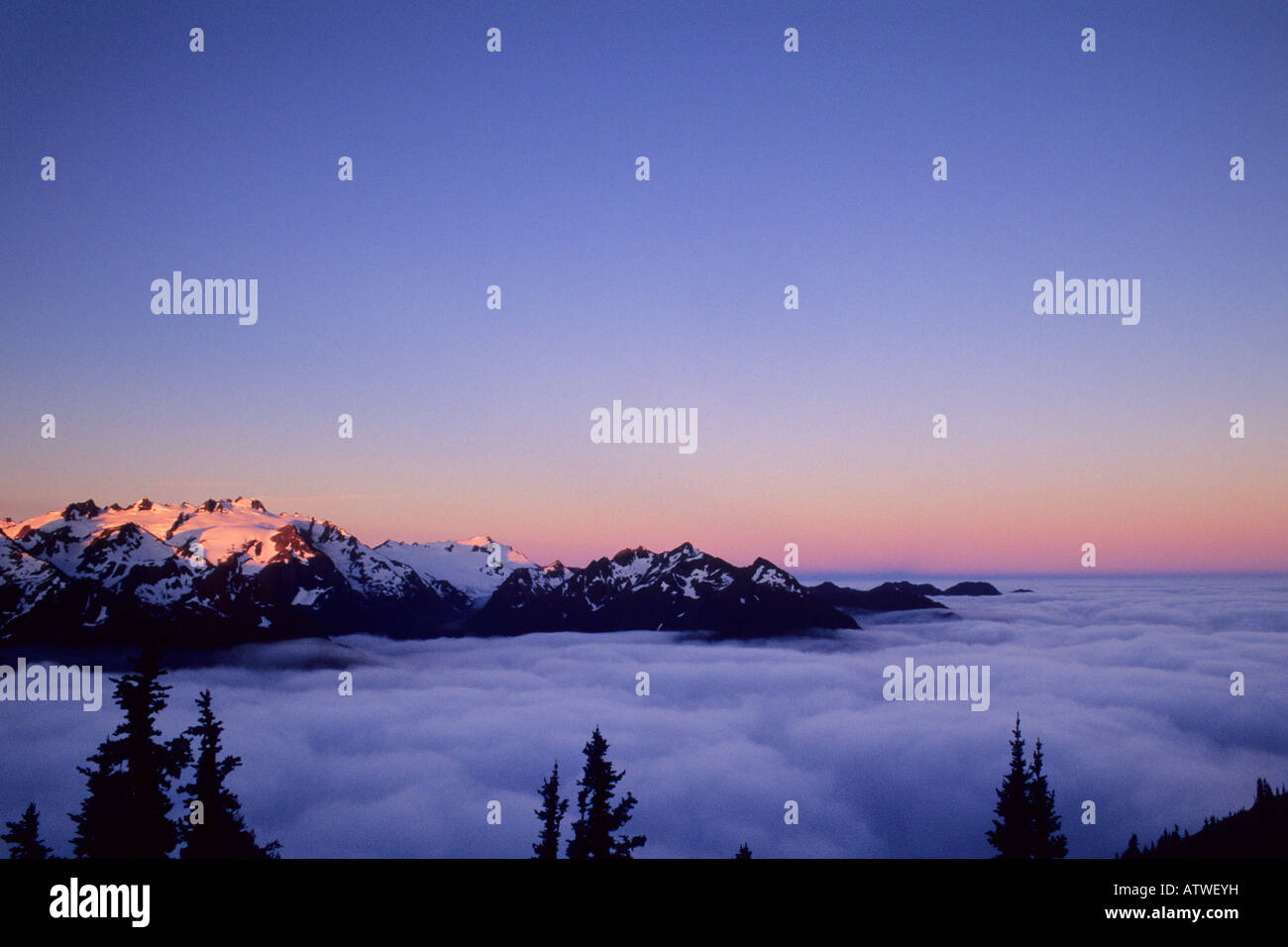 Alba sul Monte Olimpo e Hoh River Valley, il Parco Nazionale di Olympic, nello Stato di Washington Foto Stock