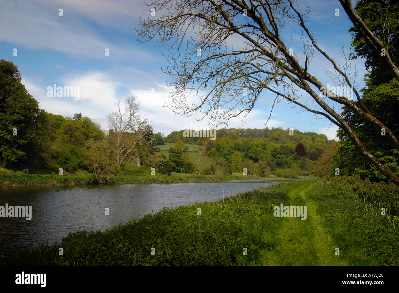 Fiume Boyne Vie, Vicino A Slane Co. Meath Irlanda Foto Stock