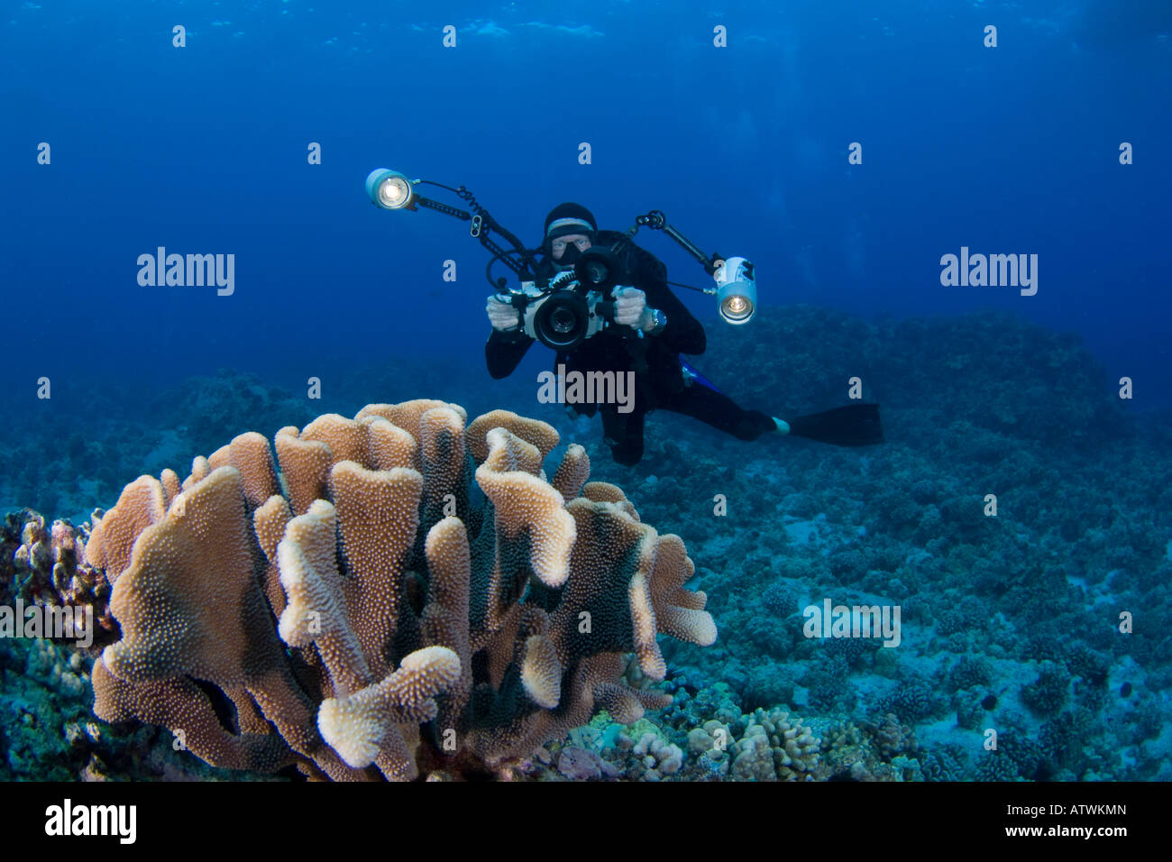 Fotografo James Watt linee fino su una scogliera con la sua macchina fotografica in un alloggiamento subacqueo con Ikelite, Costa di Kona, Hawaii. Foto Stock