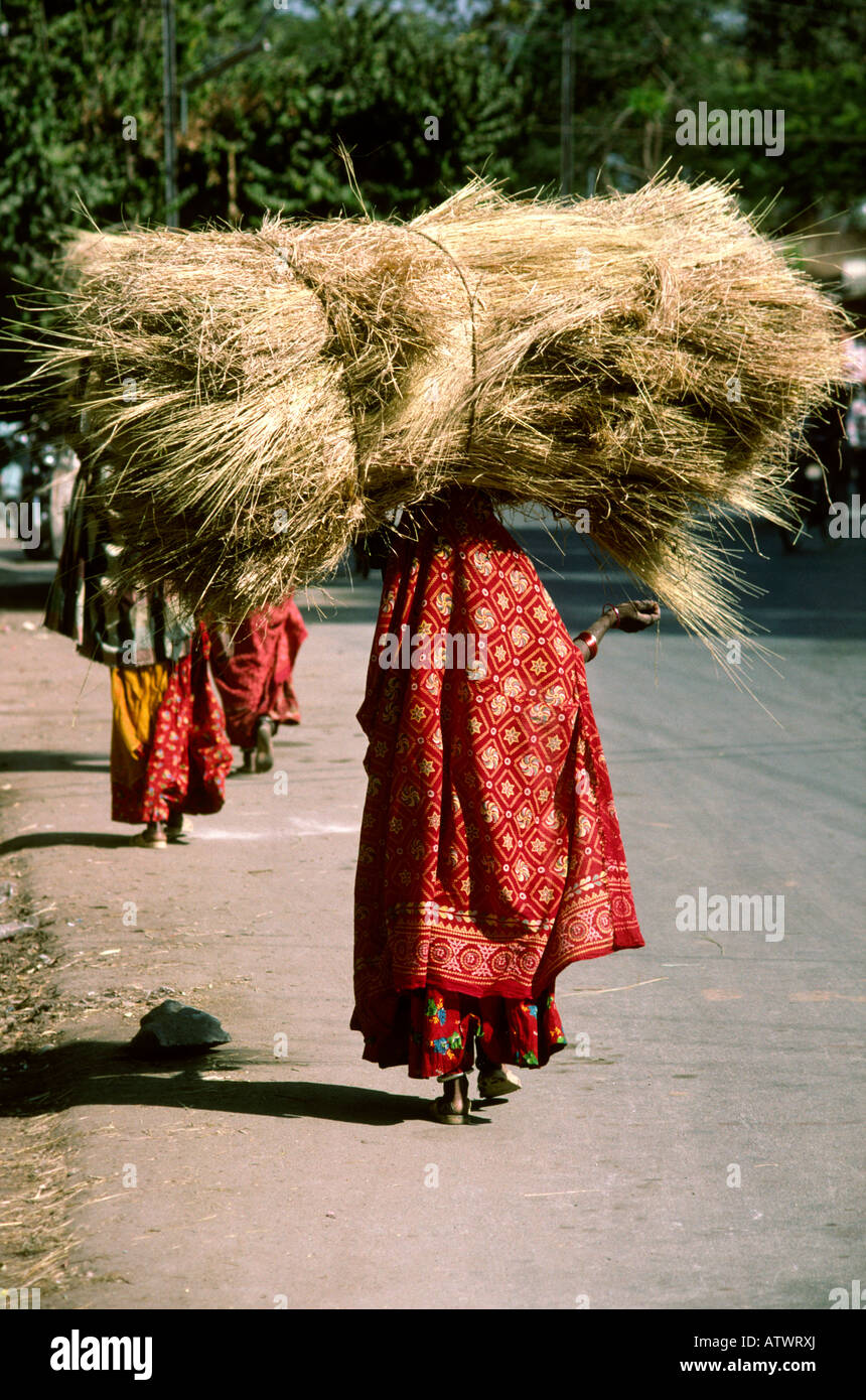 India Rajasthan Udaipur Aher donna persone che trasportano paglia Foto Stock