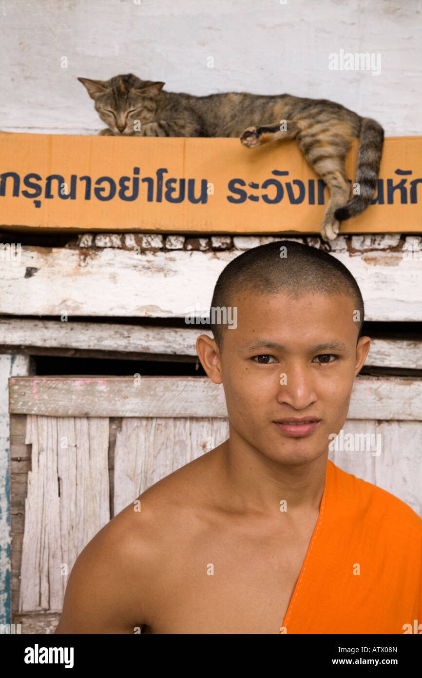 Monaco con un gatto a Wat Aham Outamathany, Luang Prabang, Laos. Foto Stock