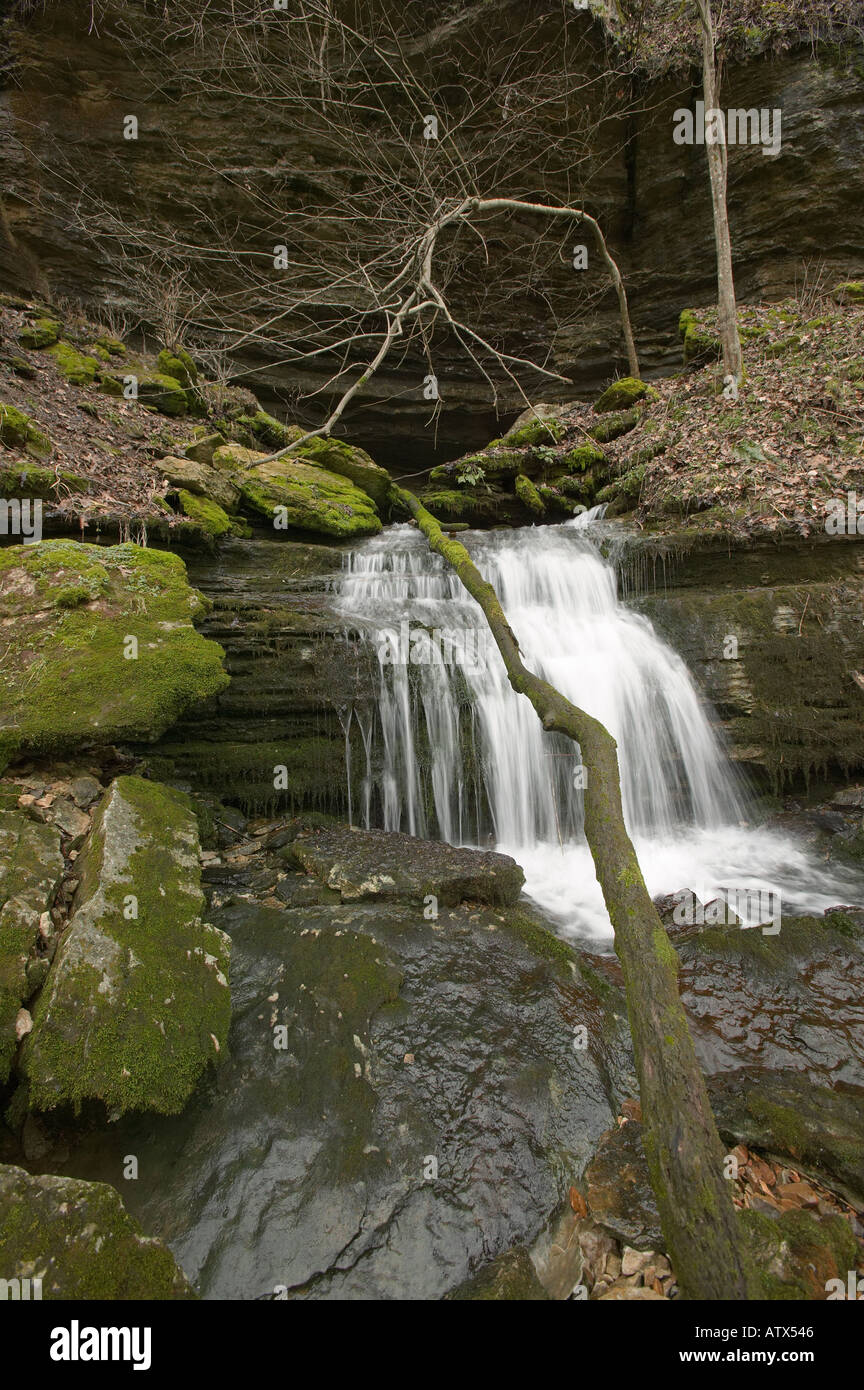 Versamento a cascata dalla bocca della Grotta Grotta Alexander Tennessee Foto Stock