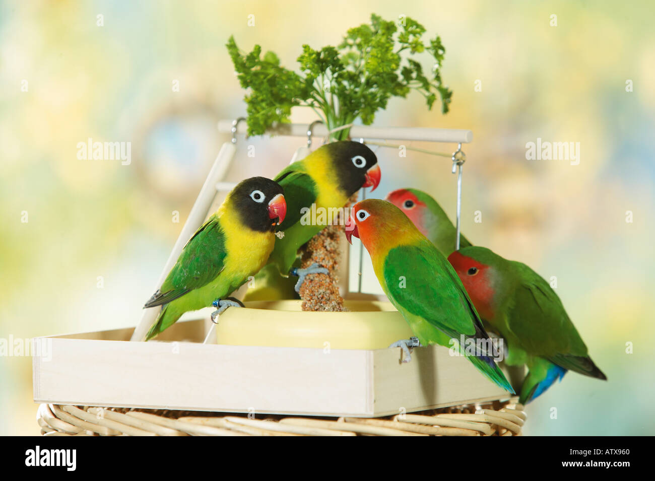 Diversi innamorati al cibo Foto Stock
