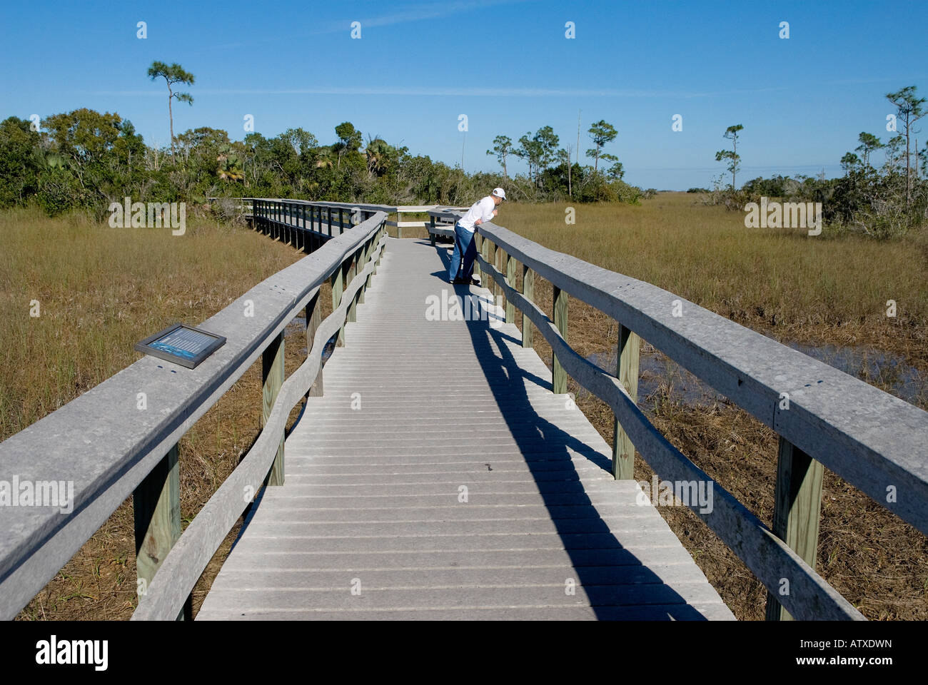 Tourist sorge su una passerella in mogano amaca in Everglades della Florida Foto Stock