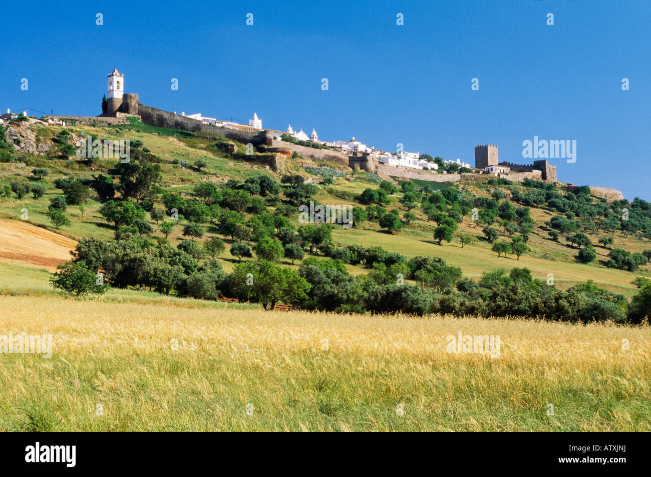 Collina del borgo fortificato di Monsaraz, Portogallo Foto Stock