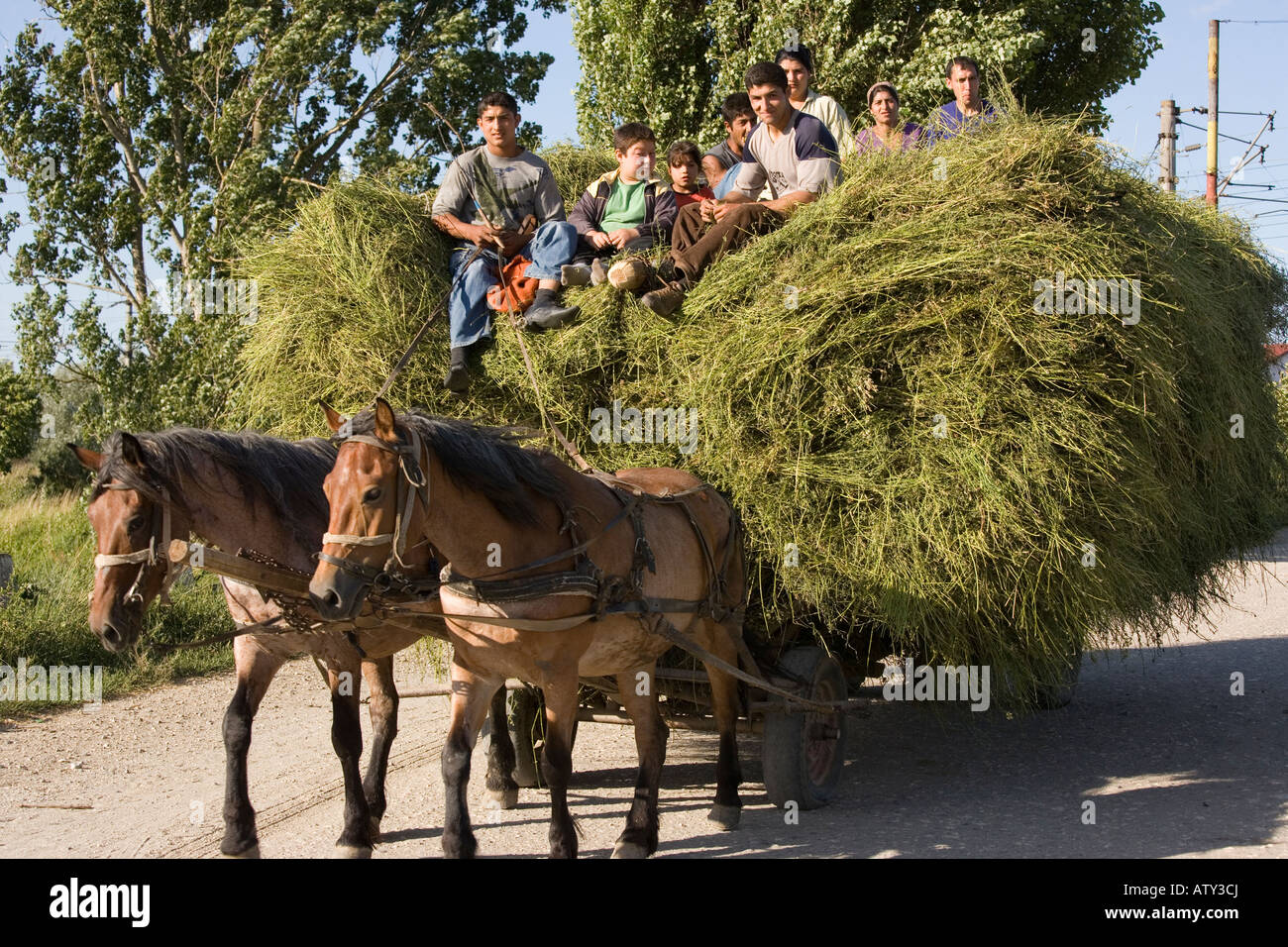 Gipsy family portando a casa il fieno dai campi della Romania Foto Stock