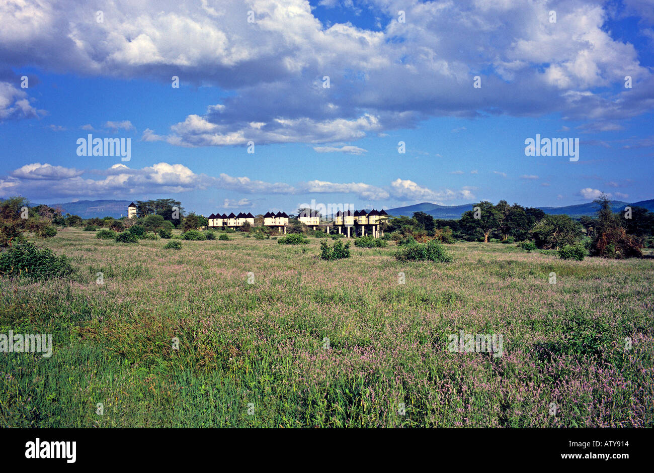 AFRICA KENYA Taita Hills Salt Lick Safari Lodge Hotel Hilton Resort Hotel in Taita Hills Wildlife Sanctuary Foto Stock