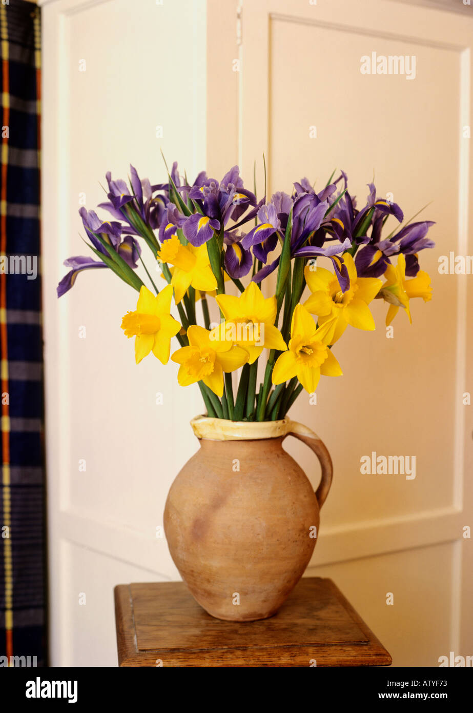 Narcisi e Iris in una brocca di terracotta Foto Stock
