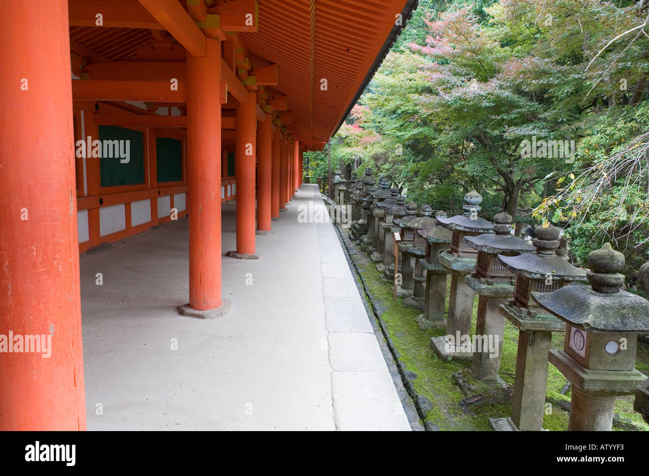 Contrasta- Il Santuario Kasuga Nara Giappone Foto Stock
