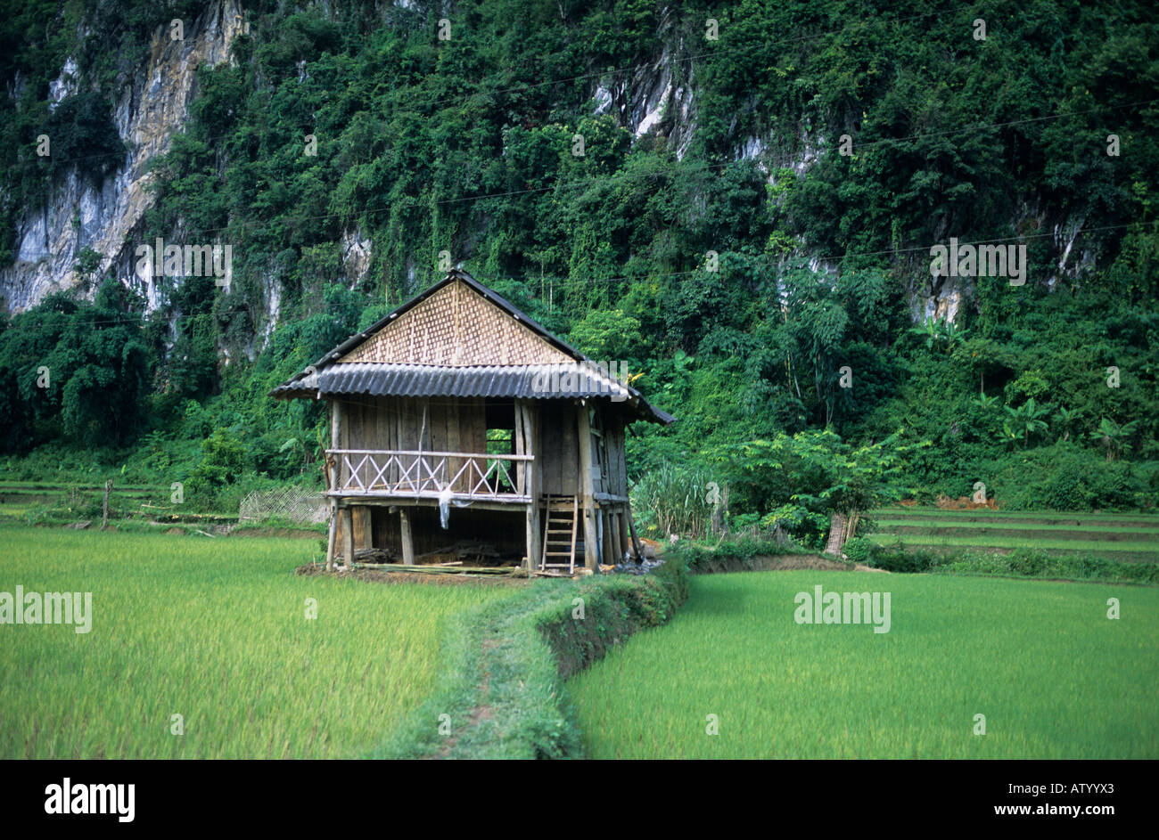 Vista del Black Tai palafitte nel Moc Chau Valley Foto Stock