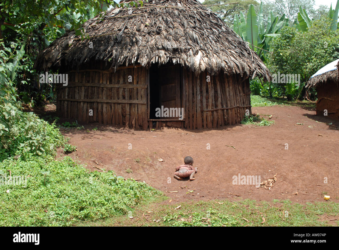 Un tradizionale caffè etiope agricoltori house Foto Stock