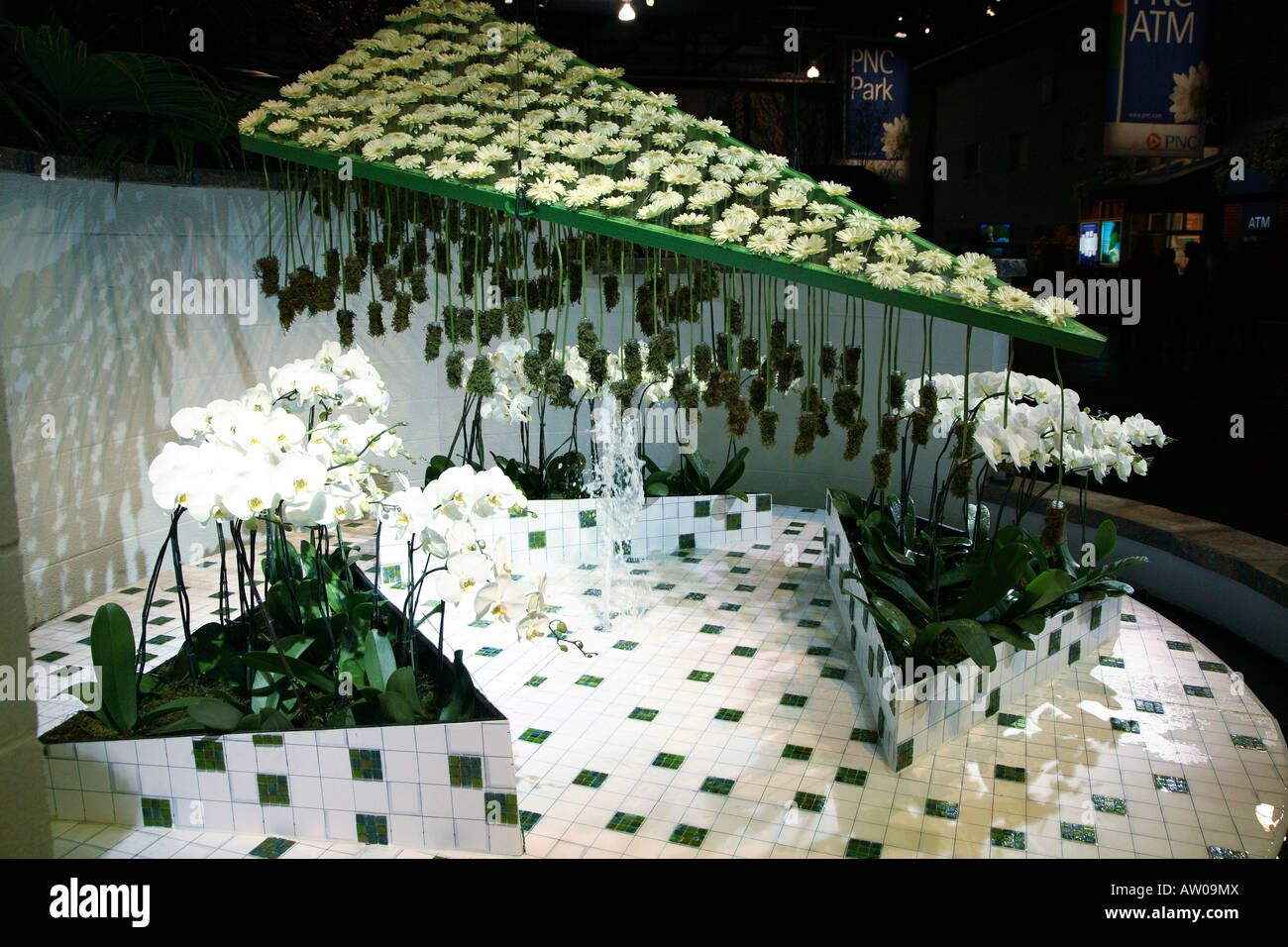 Sala del ritmo. Le orchidee bianche in tre triangolare di piastrelle nere e bianche letti sollevata con una piccola fontana nel centro Foto Stock