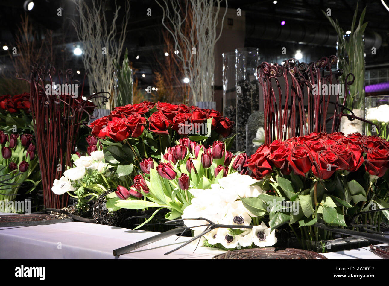 Porzione di display composta di mazzi di rose rosse color borgogna tulipani e grappoli di anemoni bianchi che giace alla base. Foto Stock