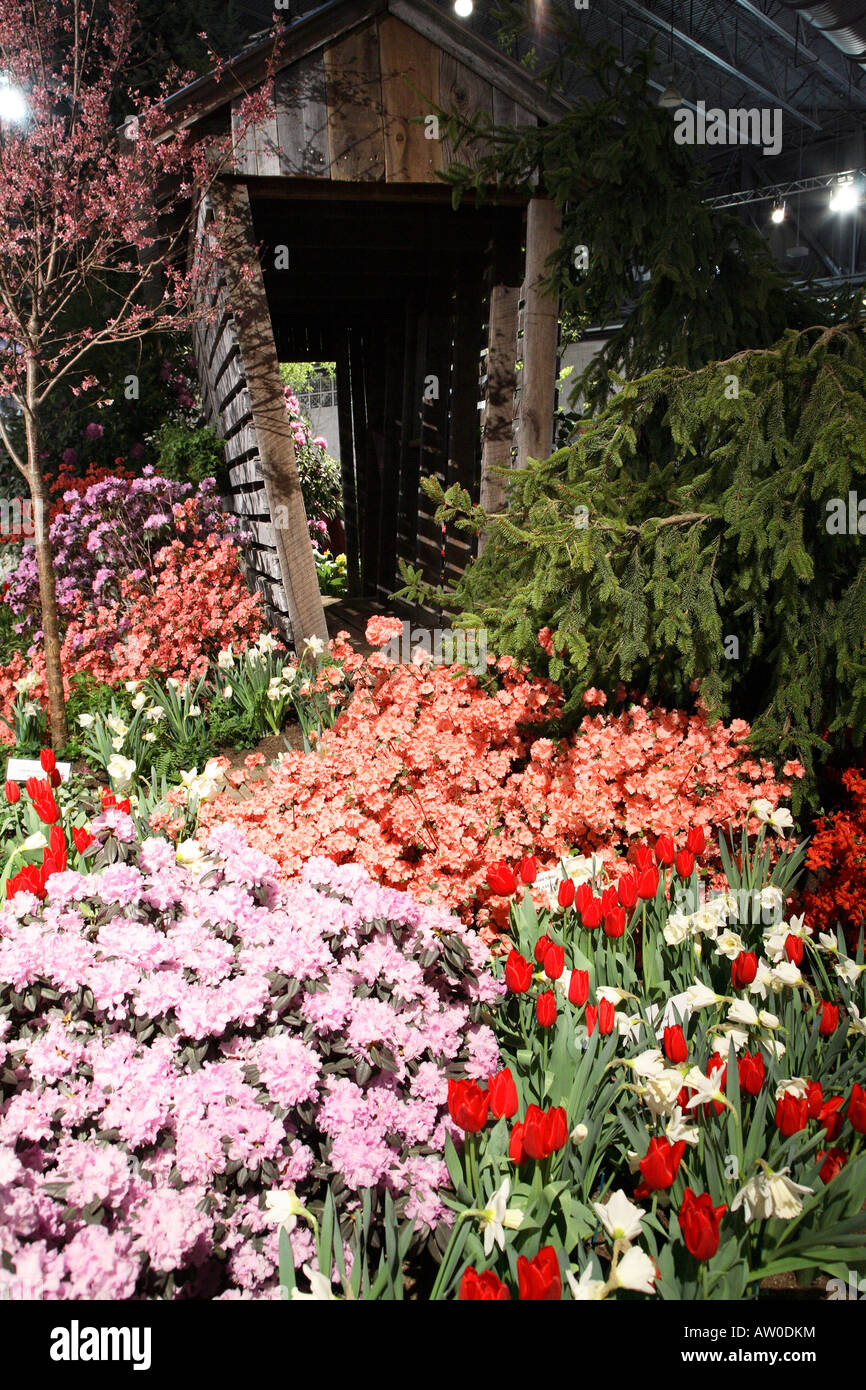 Massa di fioritura azalee tulipani rosso e bianco Giunchiglie in primo piano con una forma a cuneo stecca sparso in background Foto Stock