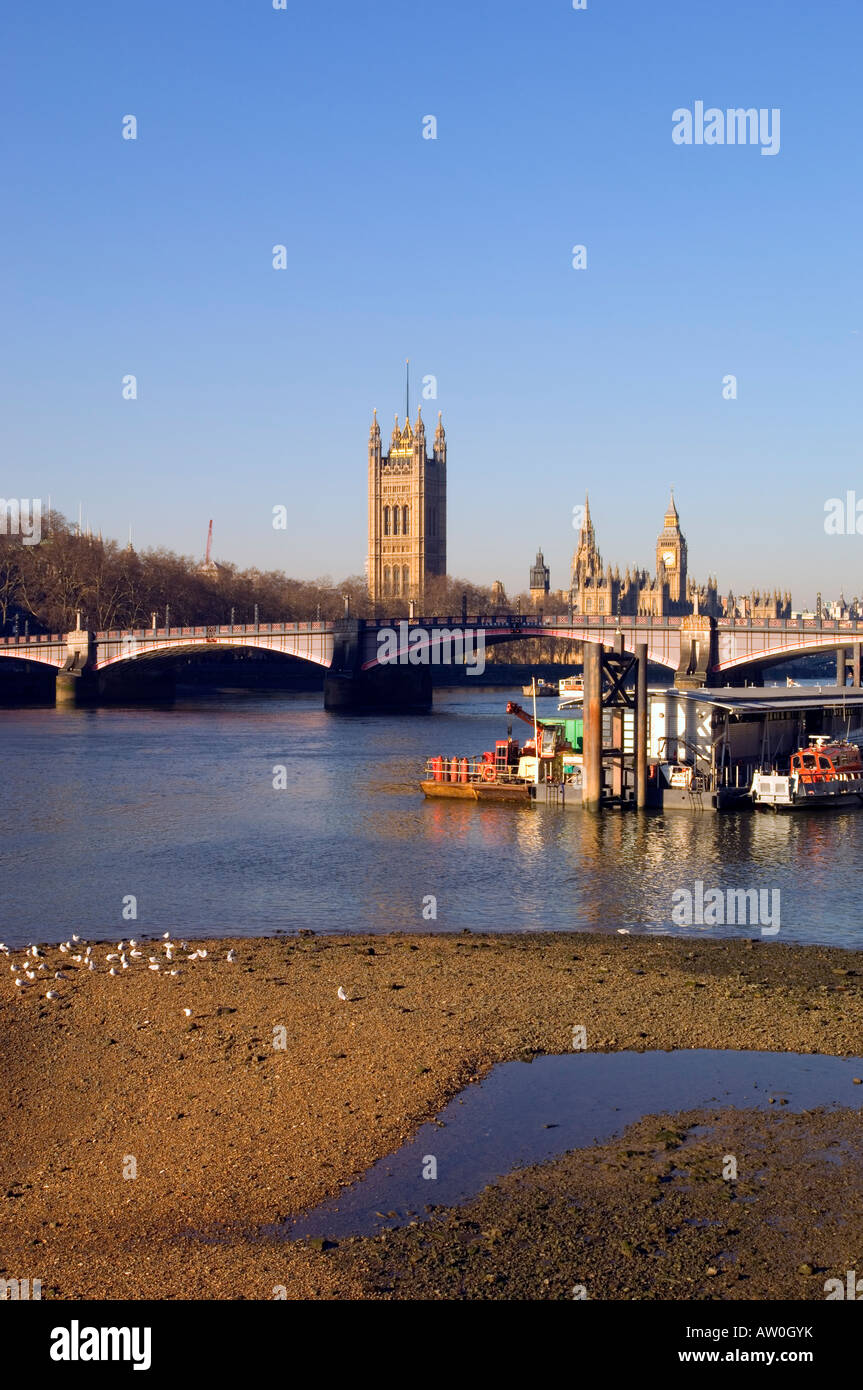 Il fiume Tamigi e le case del Parlamento visto da Albert Embankment London Regno Unito Foto Stock