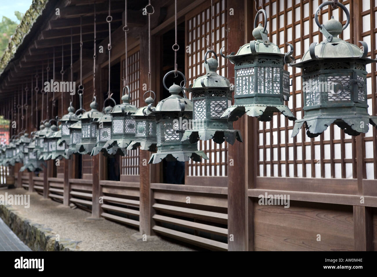 Fila di lanterne presso il Santuario Kasuga Nara Giappone Foto Stock