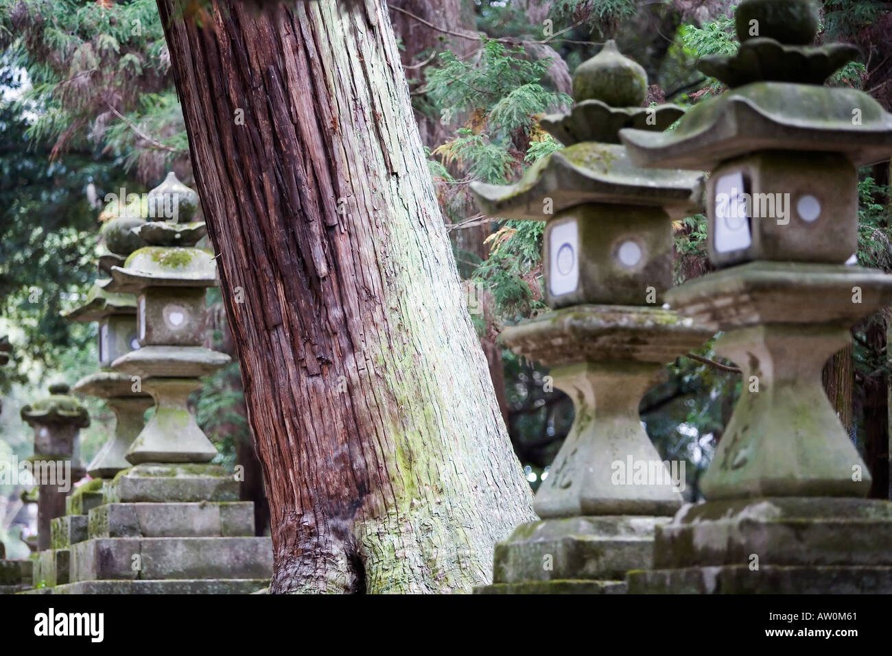 Lanterne di pietra al Santuario Kasuga Nara Giappone 2 Foto Stock