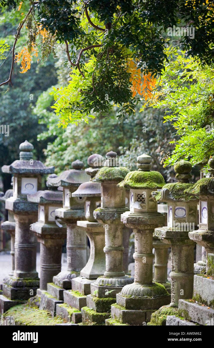 Lanterne di pietra al Santuario Kasuga Nara Giappone 3 Foto Stock