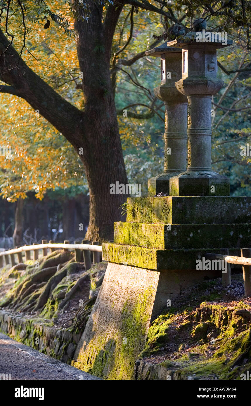 Lanterne di pietra al Santuario Kasuga Nara Giappone 5 Foto Stock