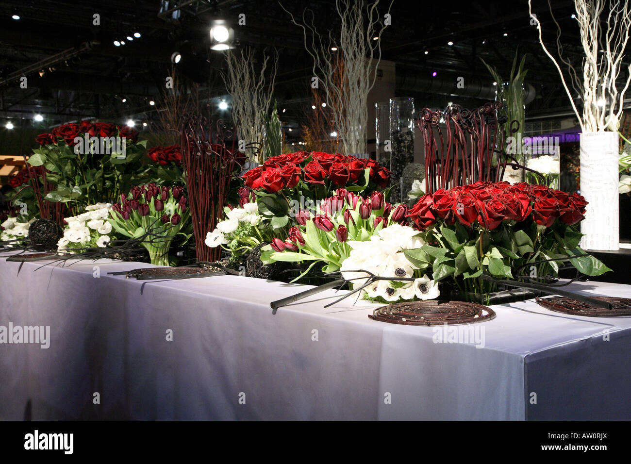 Porzione di display composta di mazzi di rose rosse color borgogna tulipani e grappoli di anemoni bianchi che giace alla base. Foto Stock