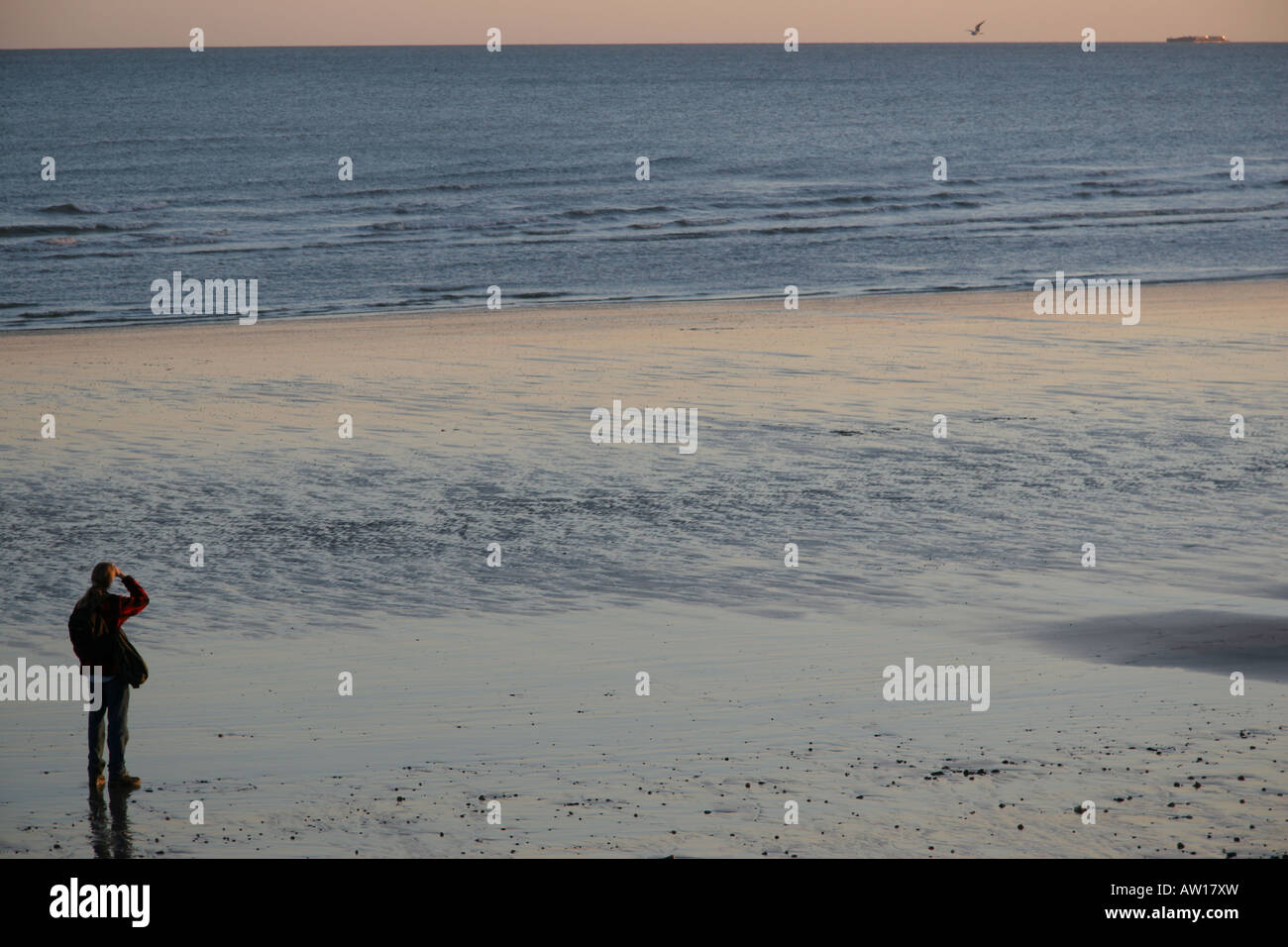 Uomo che guarda al mare verso una nave all'orizzonte Foto Stock