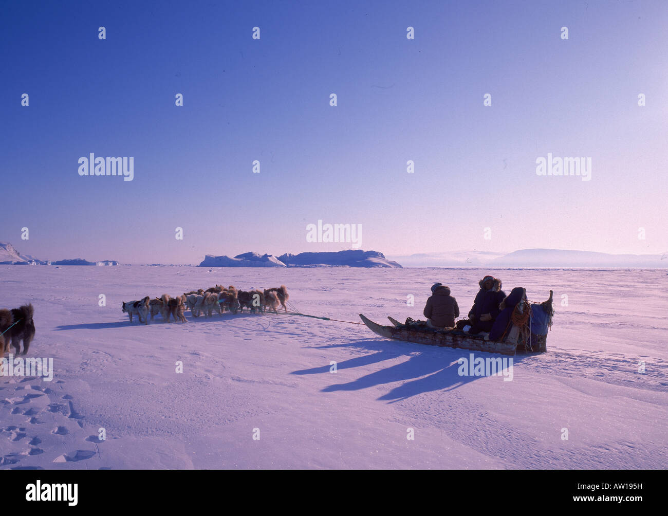 Husky Sled Dog con i cacciatori, Thule Groenlandia Foto Stock