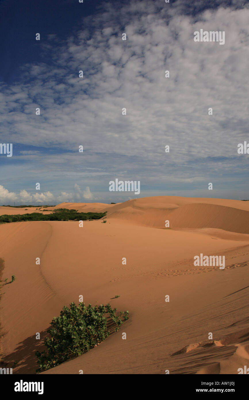Südamerika Venezuela Sandwüste Istmo de Médanos istmo Foto Stock