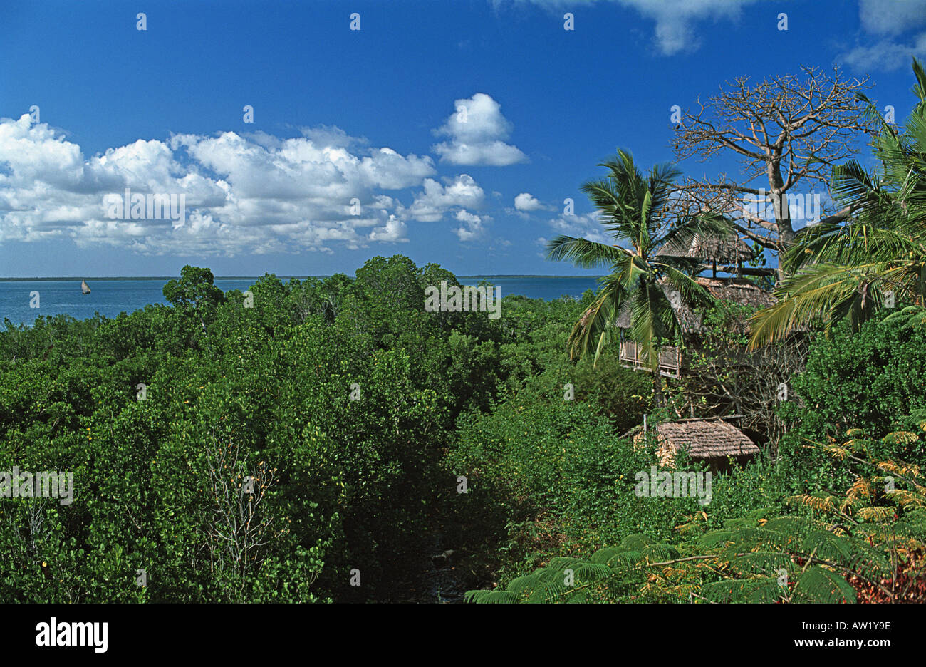 Vista da treehouse di lusso costruito intorno ad un albero di boabab Chole Mjini Lodge si affaccia su mangrovie e mare Chole Mafia TANZANIA Foto Stock