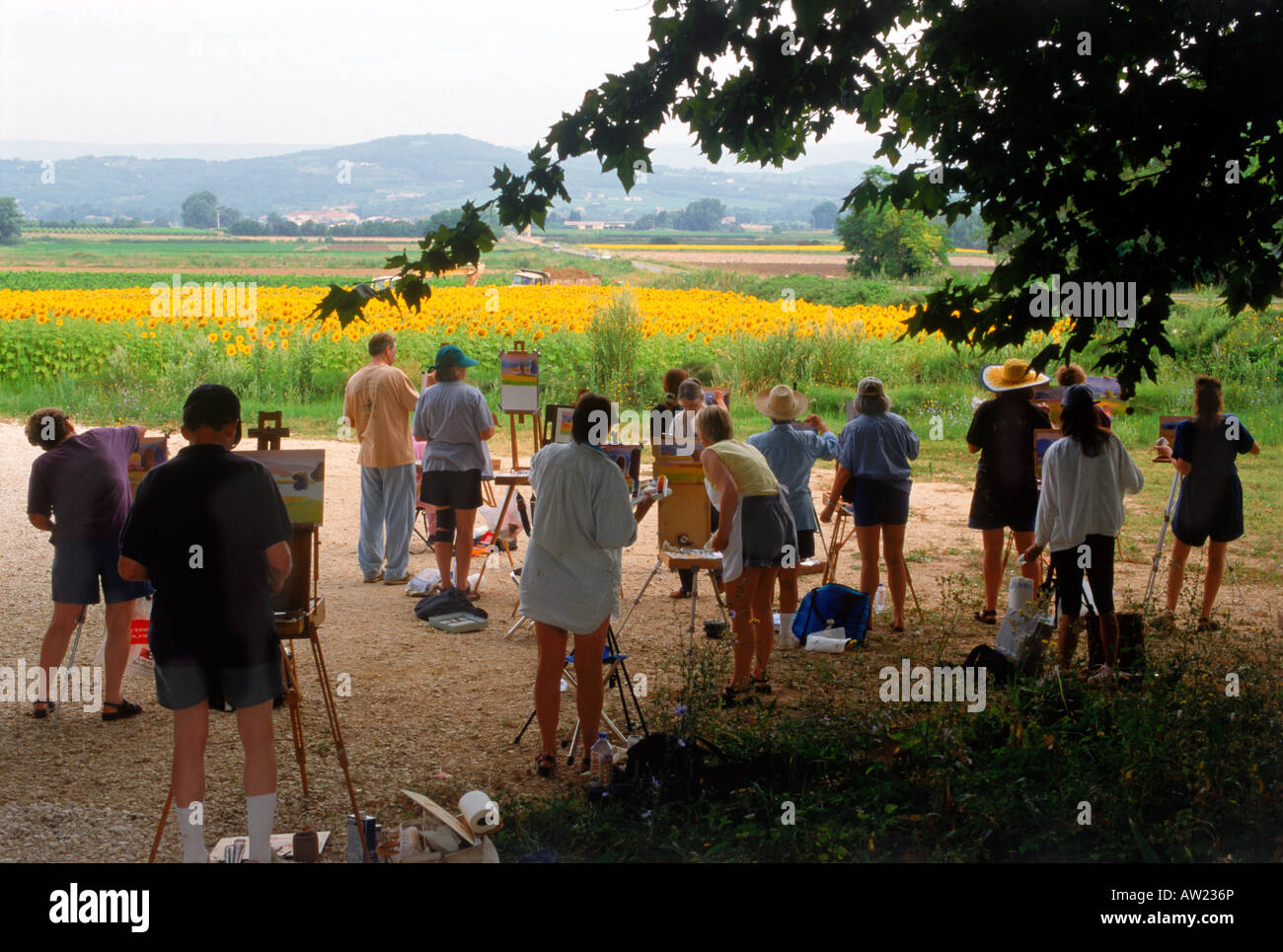 Gruppo di aspiranti artisti pittura campo di girasoli in Provenza Francia Foto Stock