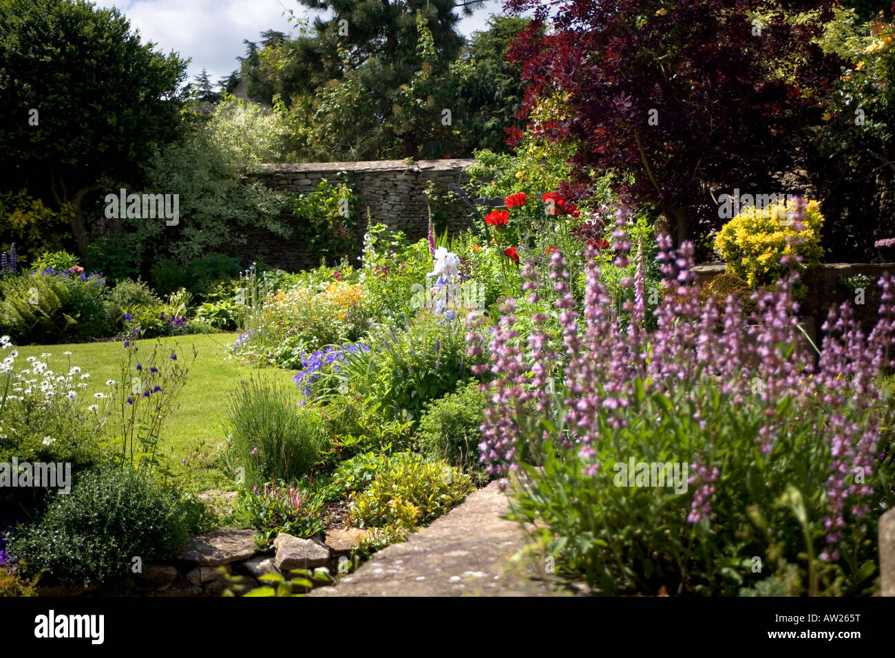 Giardini del Regno Unito. Colorato giardino estivo. Foto Stock