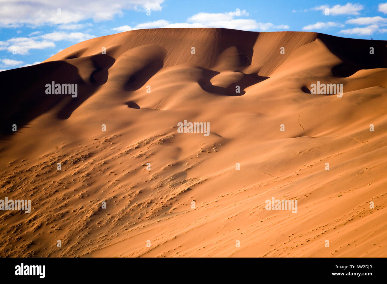 Dune di sabbia nel deserto del Namib Foto Stock