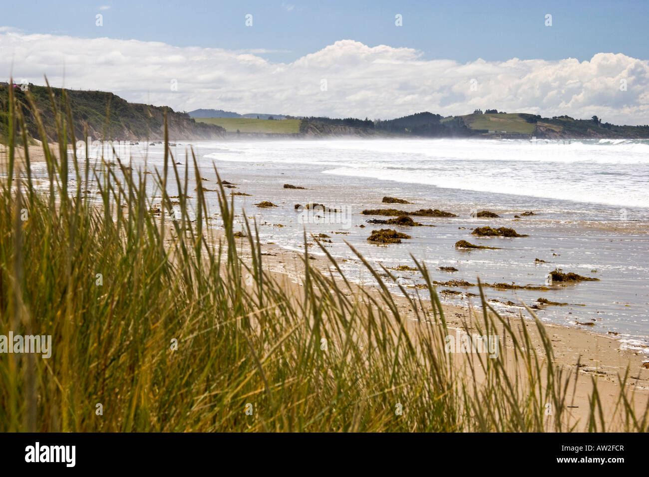 Moeraki Beach, Nuova Zelanda Foto Stock