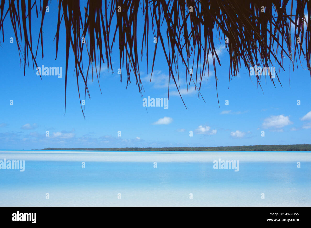 Vista del mare da sotto un albero di palma Foto Stock