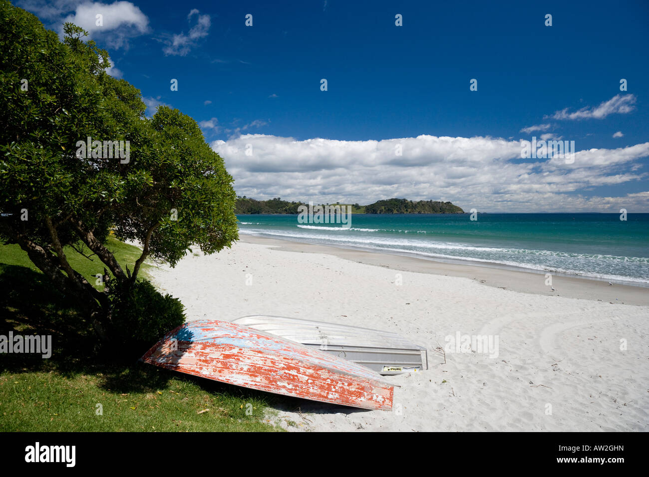 Spiaggia scene sulla spiaggia Ontangi, Waiheke Foto Stock