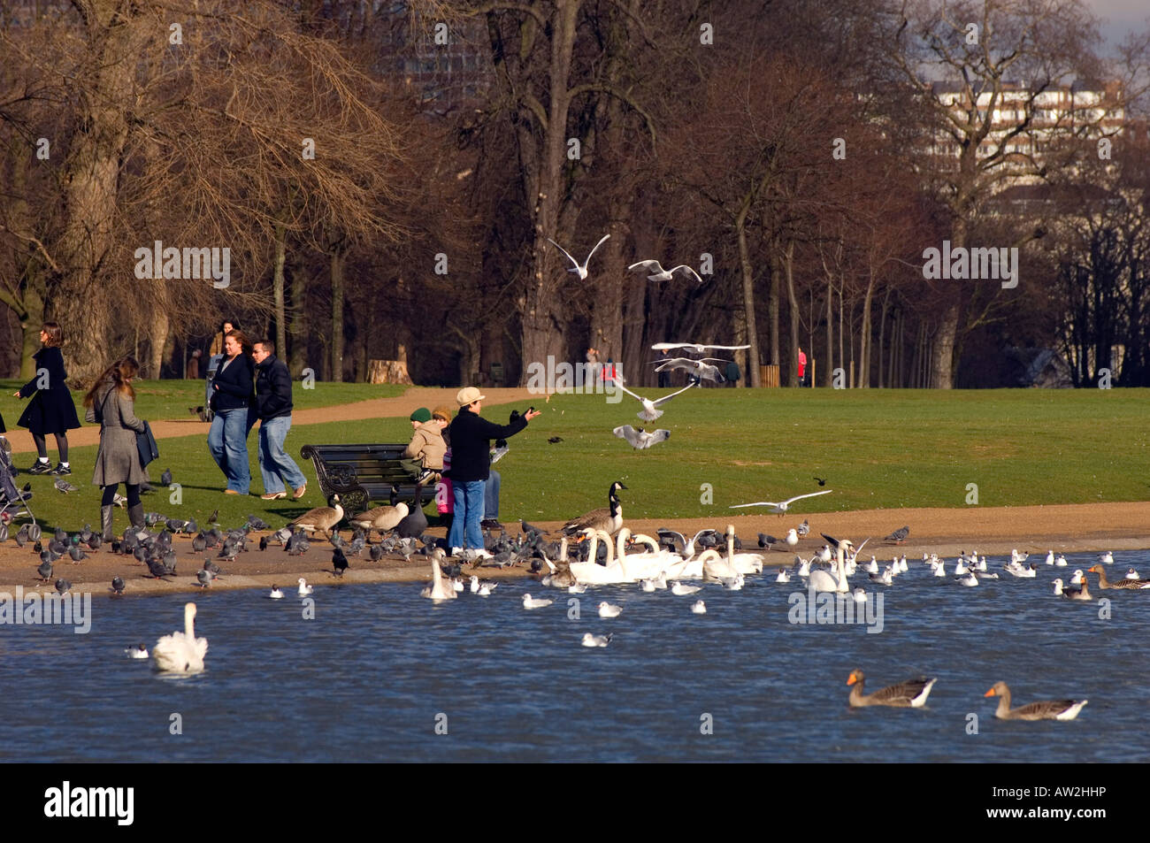 Persone che passeggiano e alimentazione di uccelli dal Round Pond Kensington Gardens W8 London Regno Unito Europa Foto Stock