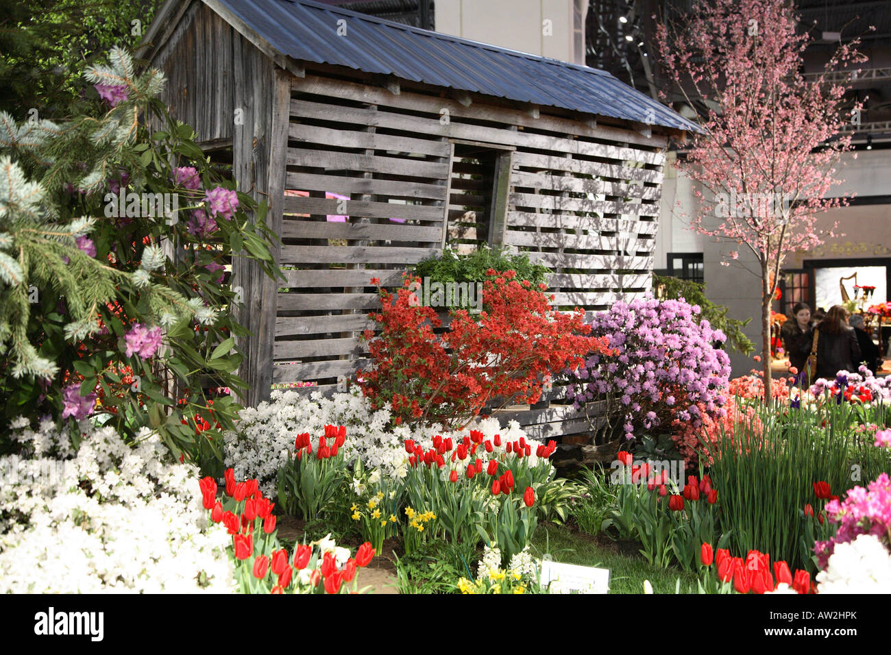 Doga piccola facciata capannone fronteggiata da pesantemente fioritura azalee di diversi colori rosso plus tulipani e narcisi e fiori ciliegio Foto Stock