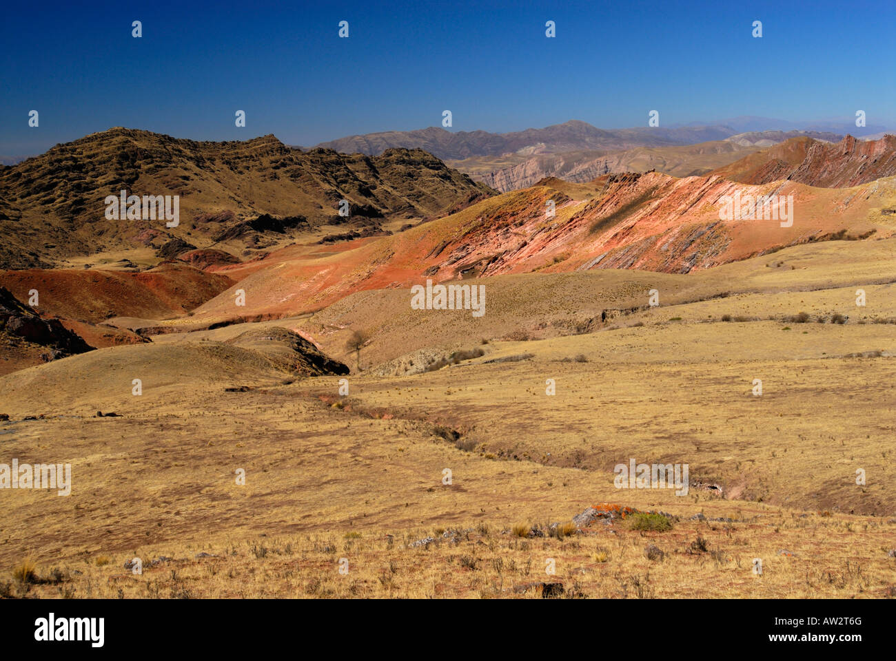 La Valle Incantata a Los Cardones National Park, Provincia di Salta Argentina, Sud America Foto Stock