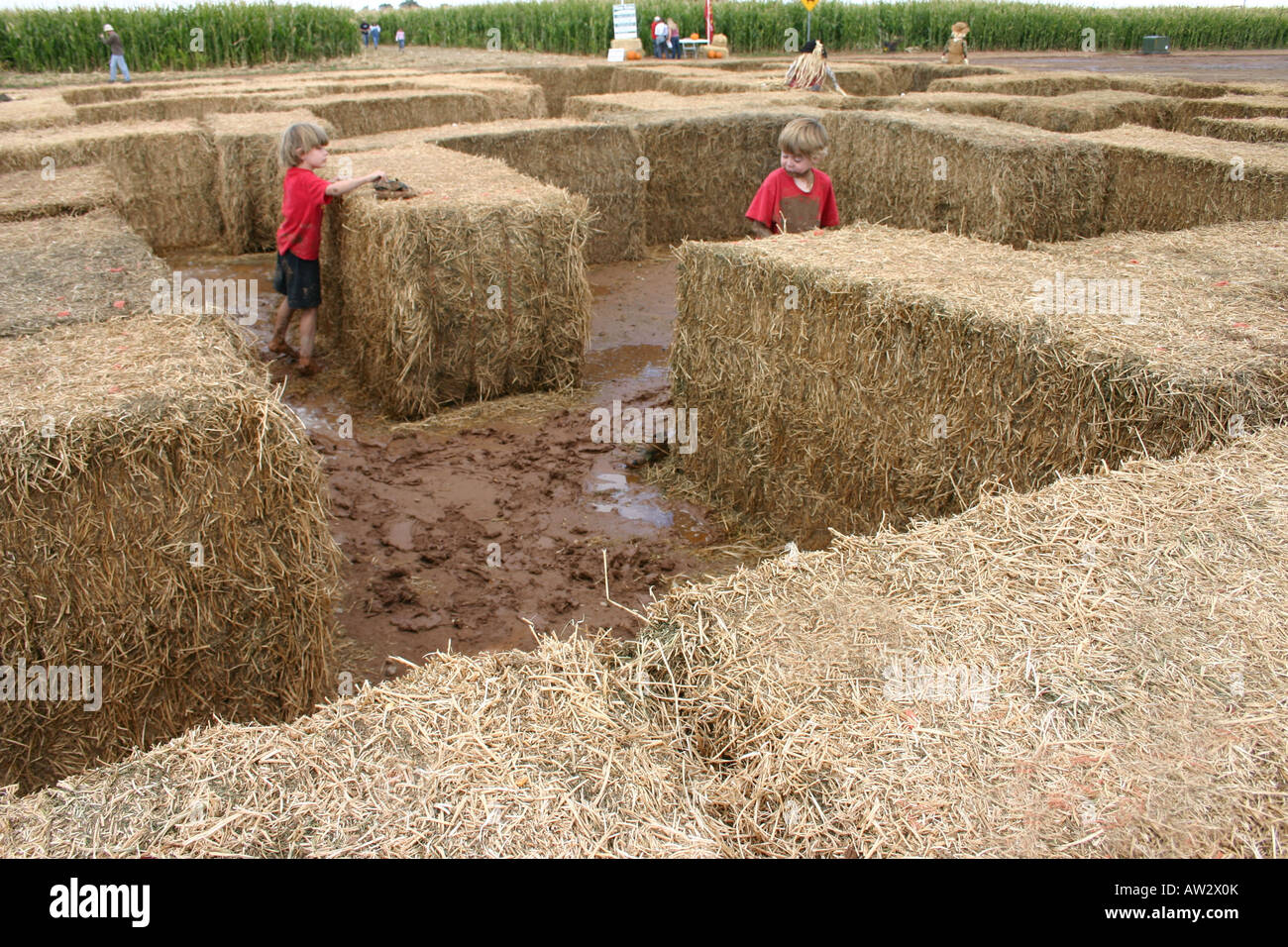 I bambini che giocano nel labirinto di balle di fieno pagliaio fattoria di  paglia Foto stock - Alamy